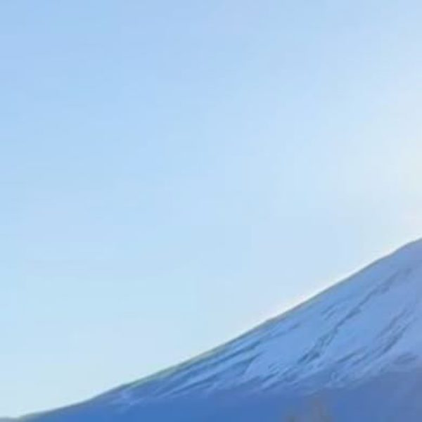 日々の活動